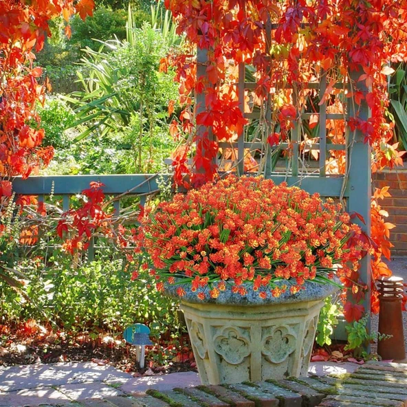 Nettenevime 6lı Set Yapay Çiçek Sazlı Lotus Turuncu Renk 7 Dal Plastik  30cm - Resim 5