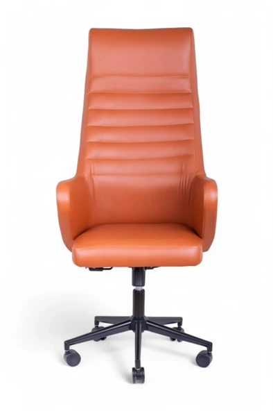 Boras Kahverengi Deri Makam Koltuğu - Resim 2