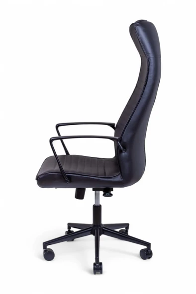 Area Siyah Deri Makam Koltuğu - 4