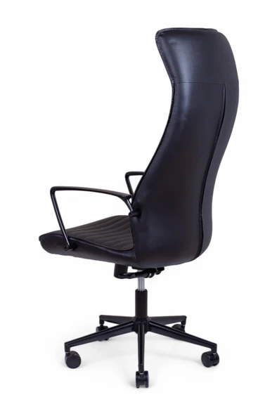 Area Siyah Deri Makam Koltuğu - 5