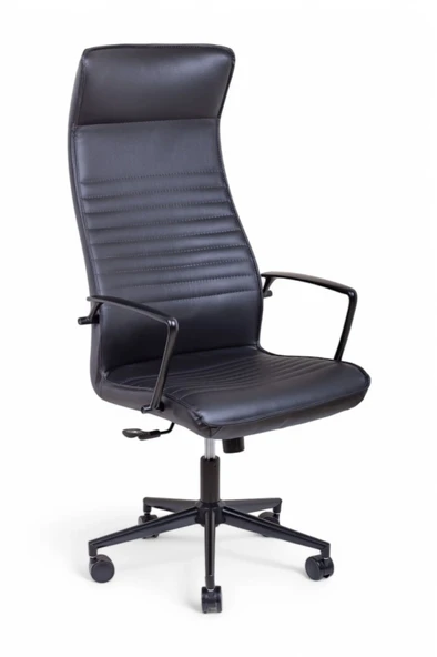 Area Siyah Deri Makam Koltuğu