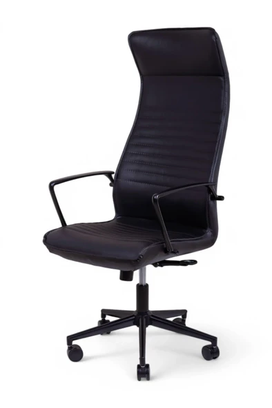 Area Siyah Deri Makam Koltuğu - 3