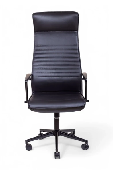 Area Siyah Deri Makam Koltuğu - 2