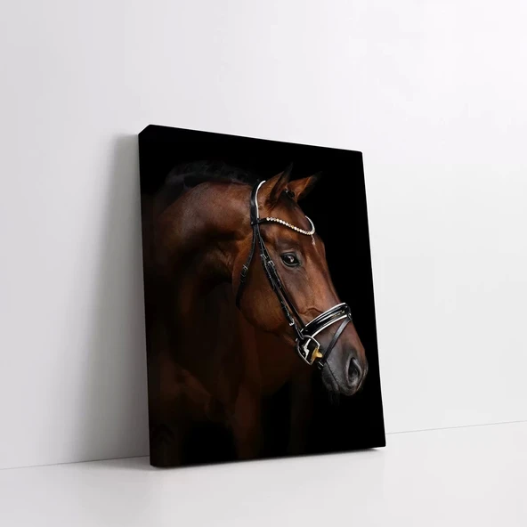 Yarış Atı Kanvas Tablo - Resim 2