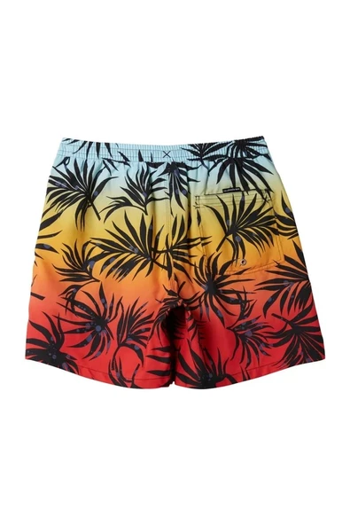 QUIKSILVER EVERYDAY MIX VOLLEY 15 - Resim 3