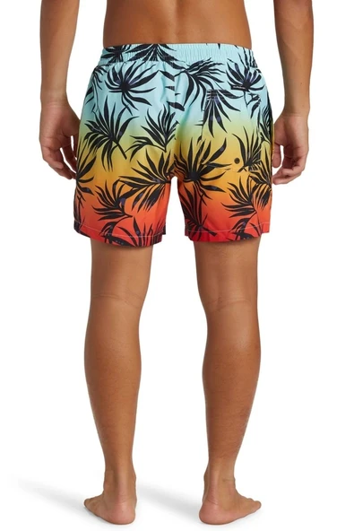 QUIKSILVER EVERYDAY MIX VOLLEY 15 - Resim 4