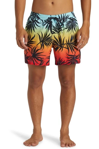 QUIKSILVER EVERYDAY MIX VOLLEY 15 - Resim 5