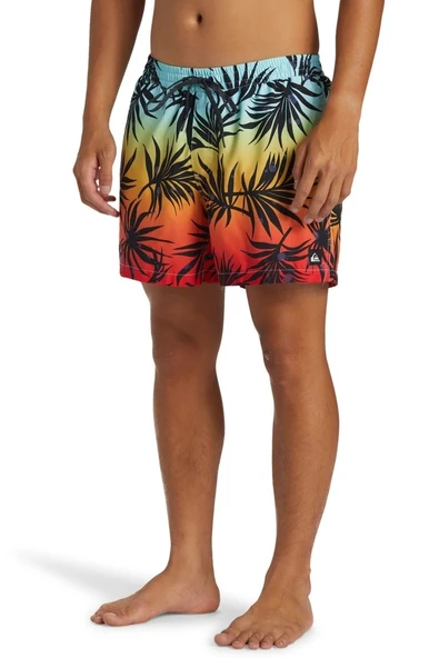 QUIKSILVER EVERYDAY MIX VOLLEY 15 - Resim 6