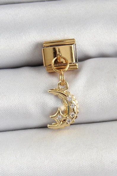 CEYLAN ADAM 316L Çelik Sallantılı Zirkon Taşlı Ay Model Gold Renk Nomination Charm ürün görseli 1