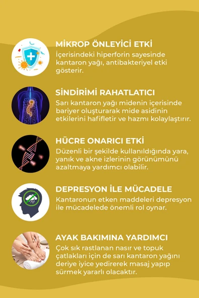 Akne Seti - Çay Ağacı Yağı 10 ml, Sarı Kantaron Yağı 50 ml 2'li Set - 4