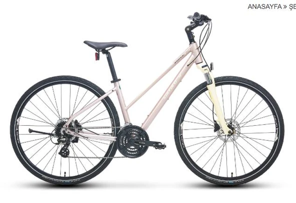 28  CARRARO SPORTIVE 226 406H 24-V HD MAT METALIK-PEMBE-BEJ-MOR R2 ürün görseli