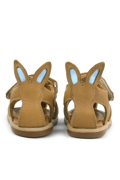 Rakerplus Bunny Hakiki Deri Taba Cırtlı Bebek Sandalet - 6