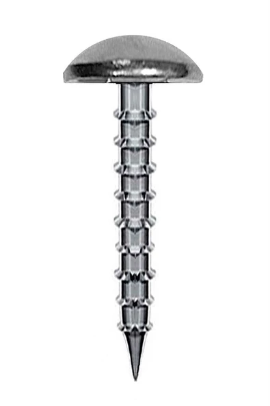 Platin Renk 30 Adet Kabara Dekoratif Çivisi ürün görseli