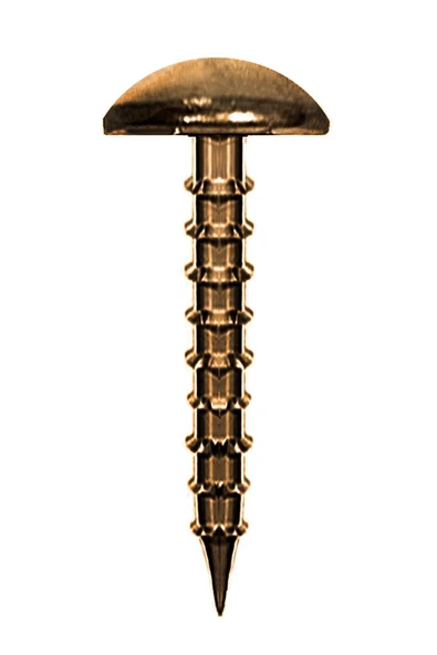 Antik Renk 30 Adet Kabara Dekoratif Çivisi ürün görseli