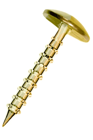 Altın Renk 30 Adet Kabara Dekoratif Çivisi - Resim 2