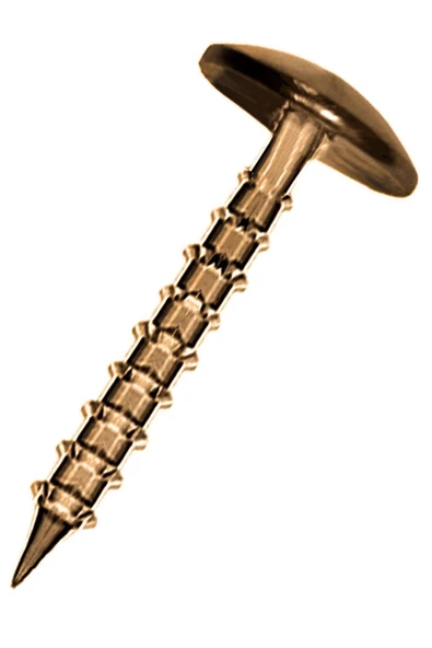 Antik Renk 30 Adet Kabara Dekoratif Çivisi - Resim 2