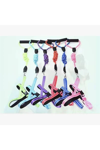 Ans  3144 L BOY TAKIM TASMA ürün görseli