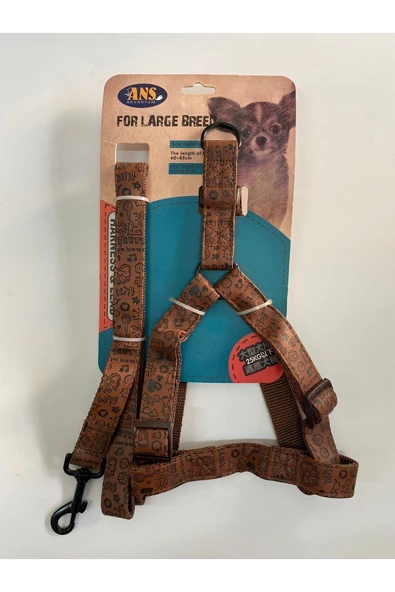 ANS Akvaryum  Ans Tasma