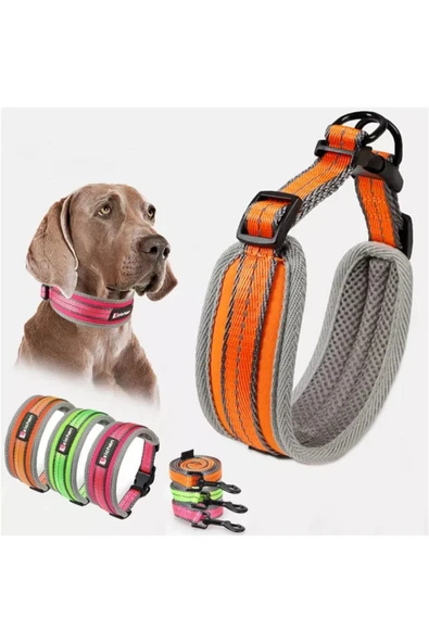 Ans  2604 M BOY BOYUN TAKIM TASMA ürün görseli