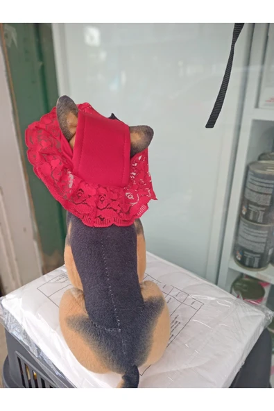 Pro Chem  Kedi ve küçük ırk köpek için M beden şapka - 2