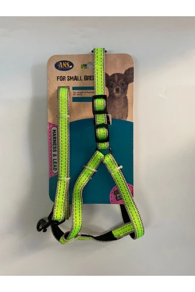 ANS Akvaryum  Ans Tasma ürün görseli