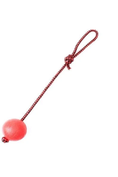 lion pet equipment  Ipli Köpek Oyuncağı Sert Top L