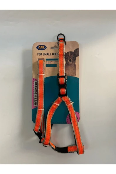 ANS Akvaryum  Ans Tasma ürün görseli