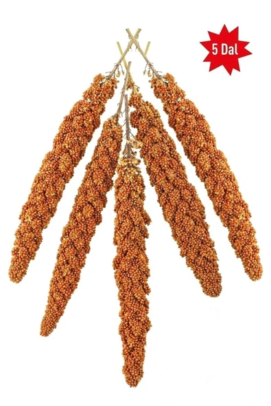 Vitafix  Kızıl Dal Darı - Tüm Kafes Kuşları Için Darı - Kuş Yemi - Yavru Kuşların Tüketimi Uygundur - 1