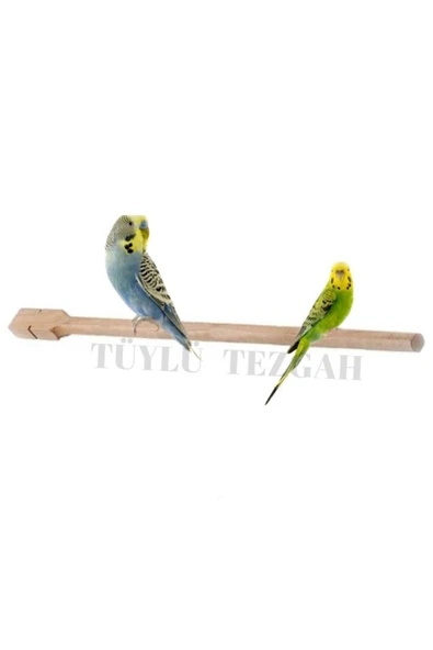 Tüylü Tezgah  Doğal Tahta Tünek 40 cm Kuş Tüneği 2 Adet Kafes Kuşları için Doğal Tahta Tünek - 4
