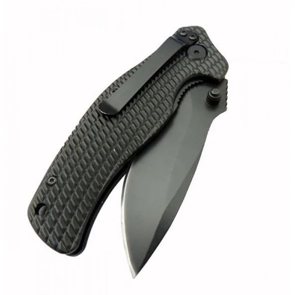 Siyah Çakı Yele - Resim 2