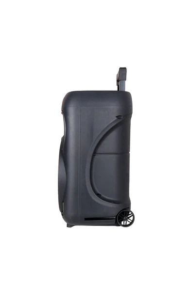 mastersonic Gd-1203 Dijital Led Göstergeli Fm Radyolu Mikrofonlu Rgb Tws 12 Inç Stereo Bass Kablosuz - Resim 3