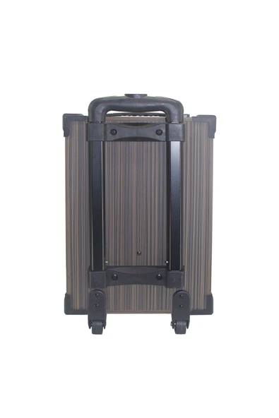 mastersonic Zore LT-910 Dijital LED Göstergeli FM Radyolu Mikrofonlu Gitar Girişli TWS 10 inç Stereo Bass Kablos - 2