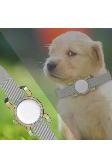 mastersonic MTSC Airtag 06 Uyumlu Silikon Anahtarlık-Renksiz - Resim 4