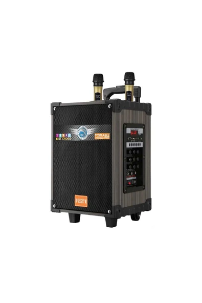 mastersonic Zore LT-910 Dijital LED Göstergeli FM Radyolu Mikrofonlu Gitar Girişli TWS 10 inç Stereo Bass Kablos