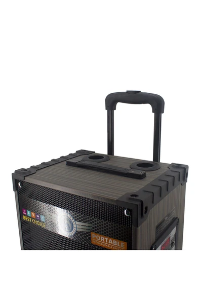 mastersonic Zore LT-910 Dijital LED Göstergeli FM Radyolu Mikrofonlu Gitar Girişli TWS 10 inç Stereo Bass Kablos - 5