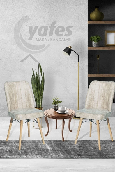 AVENZA LİVİNG Kare Gold 2'li Sandalye BEJ Mutfak Sandalyesi