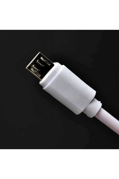 mastersonic MTSC Metro Serisi ZR-TC01 Micro 2 in 1 Şarj Seti - Beyaz - Resim 4