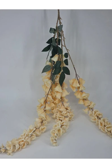 Somon Rengi Sarkan Çan Çiçeği Ev Ve Dekor - Resim 3