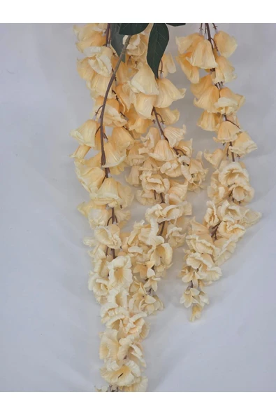 Somon Rengi Sarkan Çan Çiçeği Ev Ve Dekor ürün görseli