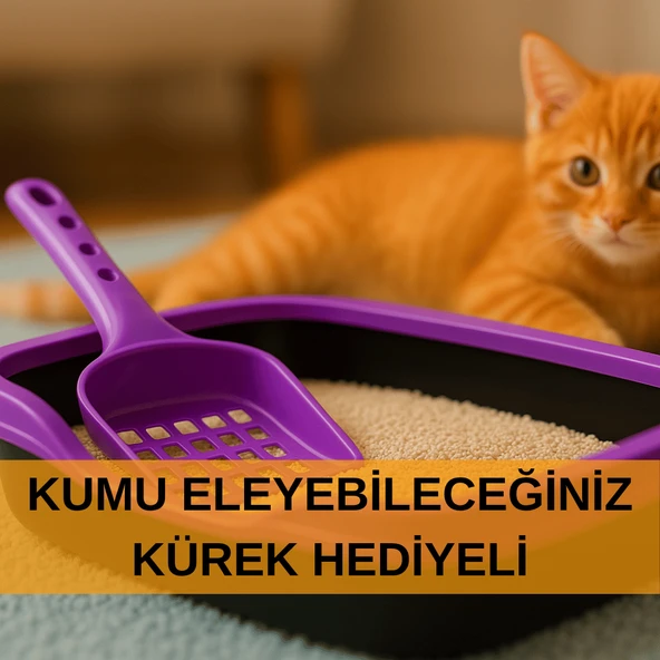 Kedi Tuvaleti Kürek Hediyeli Kedi Köpek Eğitim Tuvaleti Büyük Boy Tuvalet Kabı Mor Kedi Tuvalet Seti - 3