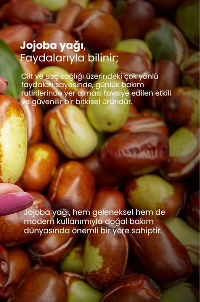 TTO Thermal Lavanta Yağı 10 ml - 3