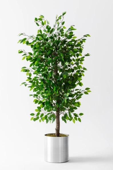 Güleç Yapay Çiçek Yapay Benjamin Ağacı 200 Cm ürün görseli