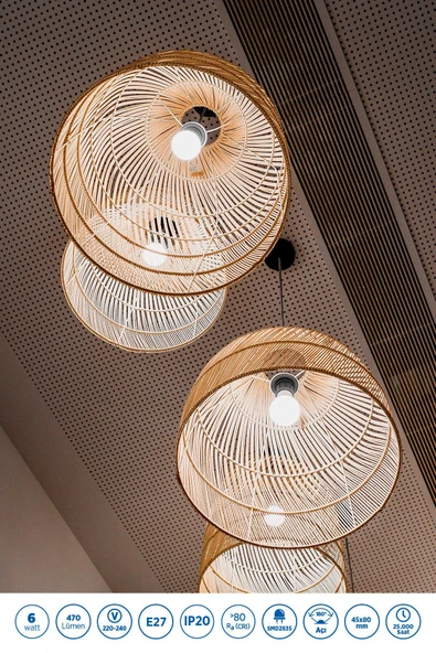 RTL09101-5 Rother G45 LED Ampul 6W E27 470 Lümen 6000K Beyaz Işık Enerji Tasarruflu Ampul 5 Adet - Resim 3