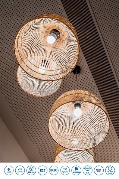 RTL09101-10 Rother G45 LED Ampul 6W E27 470 Lümen 6000K Beyaz Işık Enerji Tasarruflu Ampul 10 Adet - Resim 3