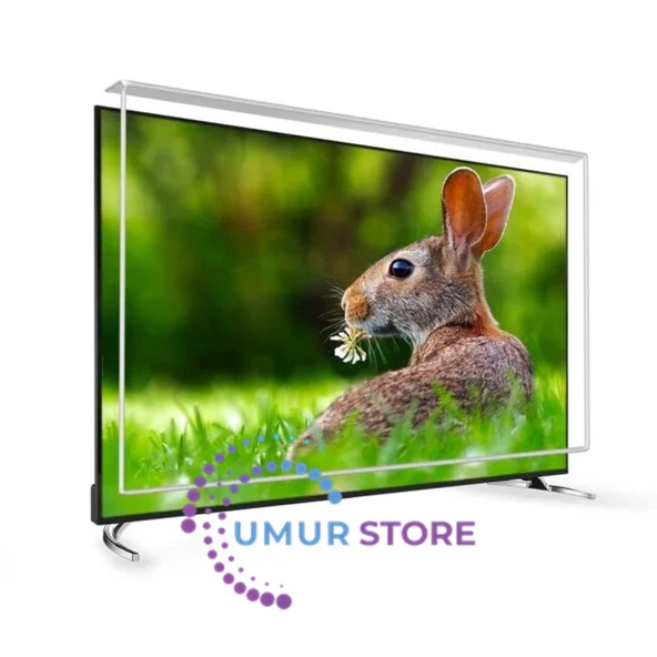 Philips 58pus9125 Uyumlu 58" Inç 147 Ekran Tv Ekran Koruyucu