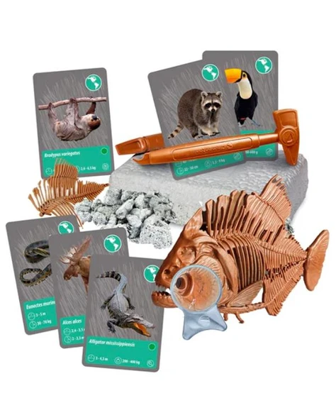 Clementoni Bilim ve Oyun Dünyadaki Hayvanların Tarihi 64093 - Resim 3