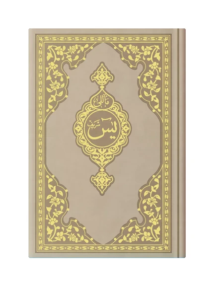 Orta Boy Termo Deri Mealli Yasin Cüzü (Vizon) - Resim 2