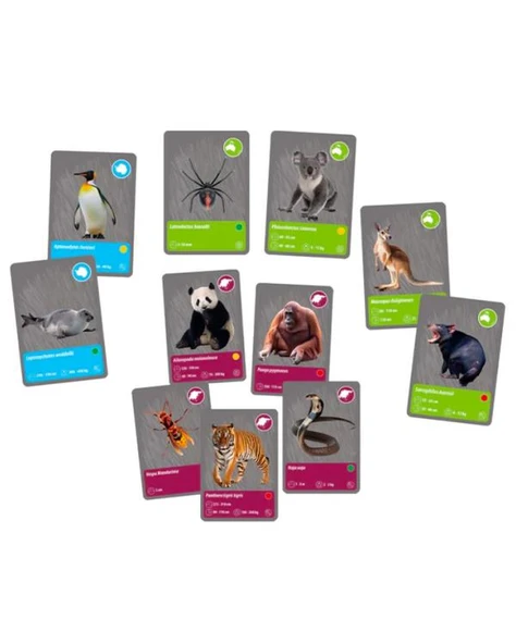 Clementoni Bilim ve Oyun Dünyadaki Hayvanların Tarihi 64093 - Resim 5