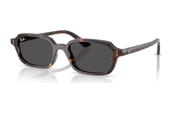 Ray-ban Rb 4455 135987 52 Zuri Unisex Güneş Gözlüğü Kahverengi