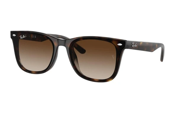 Ray-ban 0rb4420 710/13 65 Unisex Güneş Gözlüğü ürün görseli 1